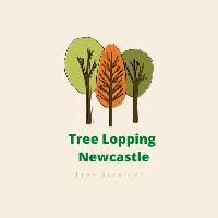 Tree Lopping Newcastle image 1